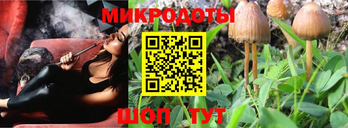 Псилоцибиновые грибы ЛСД Лениногорск